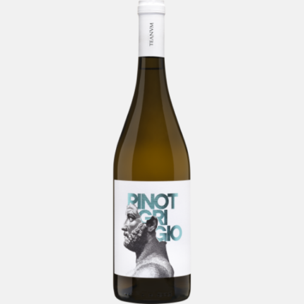 Teanum Favugne pinot grigio